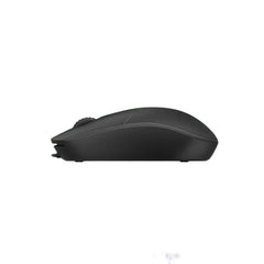 RAPOO N100 BLACK USB MOUSE