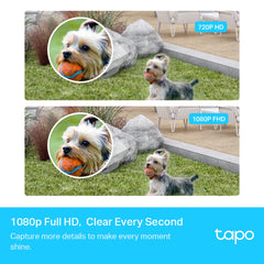 TP LINK TAPO C400S2 SMART WIRE 2 CAMERA 1080P AI SMART SECURITY CAMERA