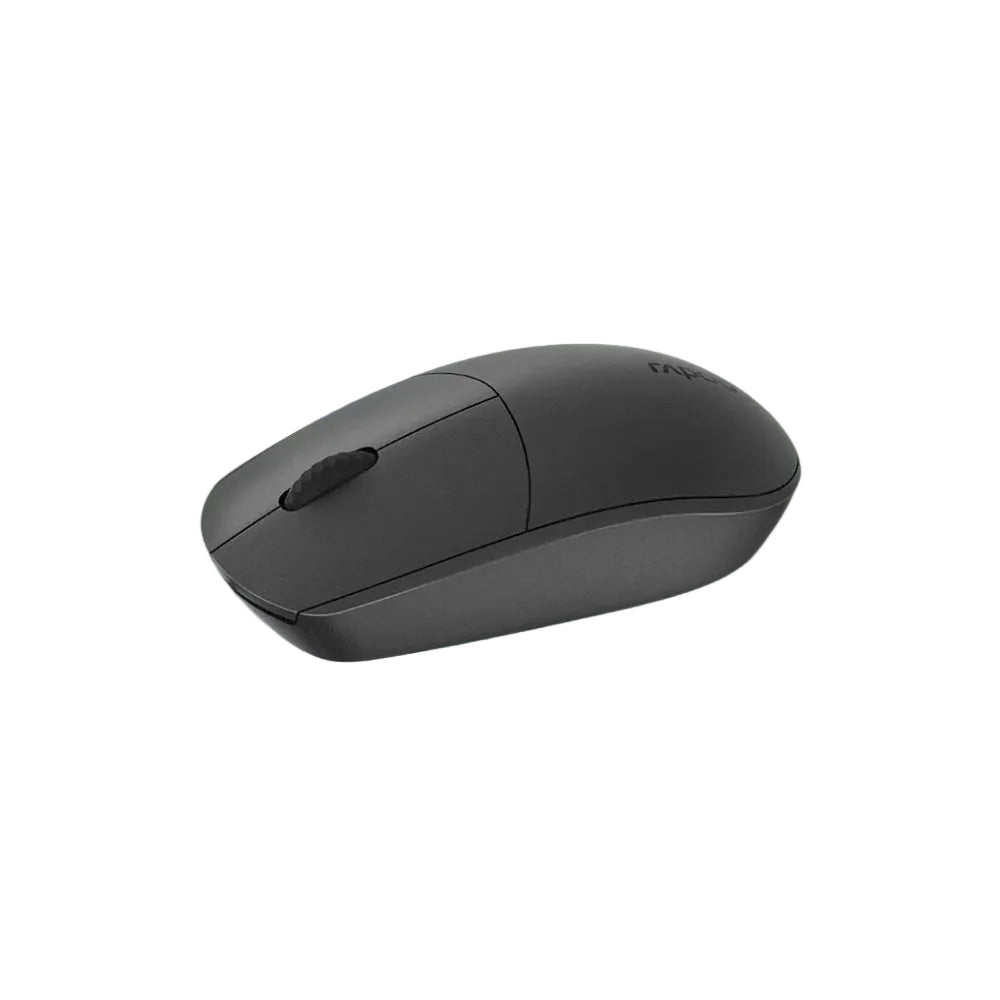 RAPOO N100 BLACK USB MOUSE
